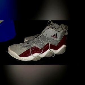 Adidas Top Ten 2000 Shift Grey Light Maroon (G20326)